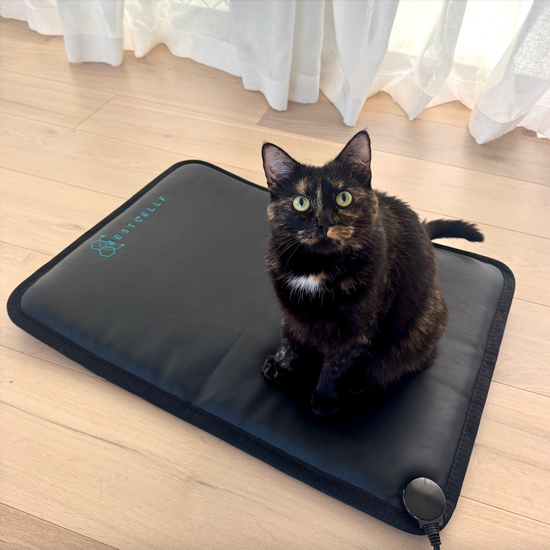 Stormi on the compact PEMF mat